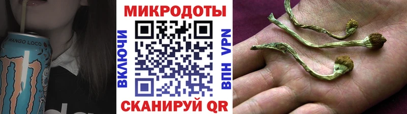 Псилоцибиновые грибы Cubensis Сусуман
